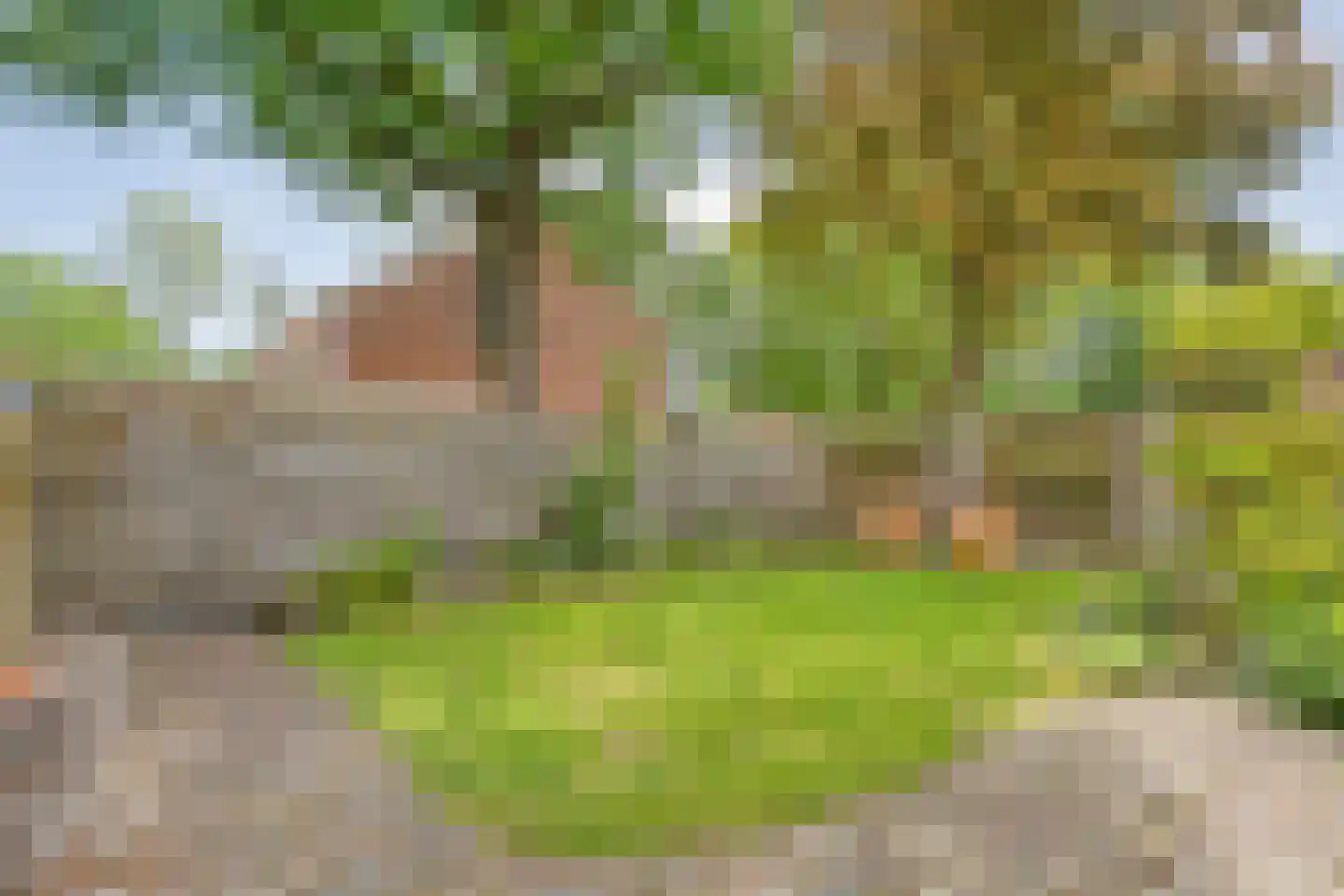 Ten Utlodreef 12 Zuidwolde thumbnail 58