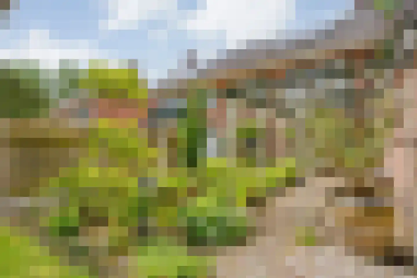 Ten Utlodreef 12 Zuidwolde thumbnail 59