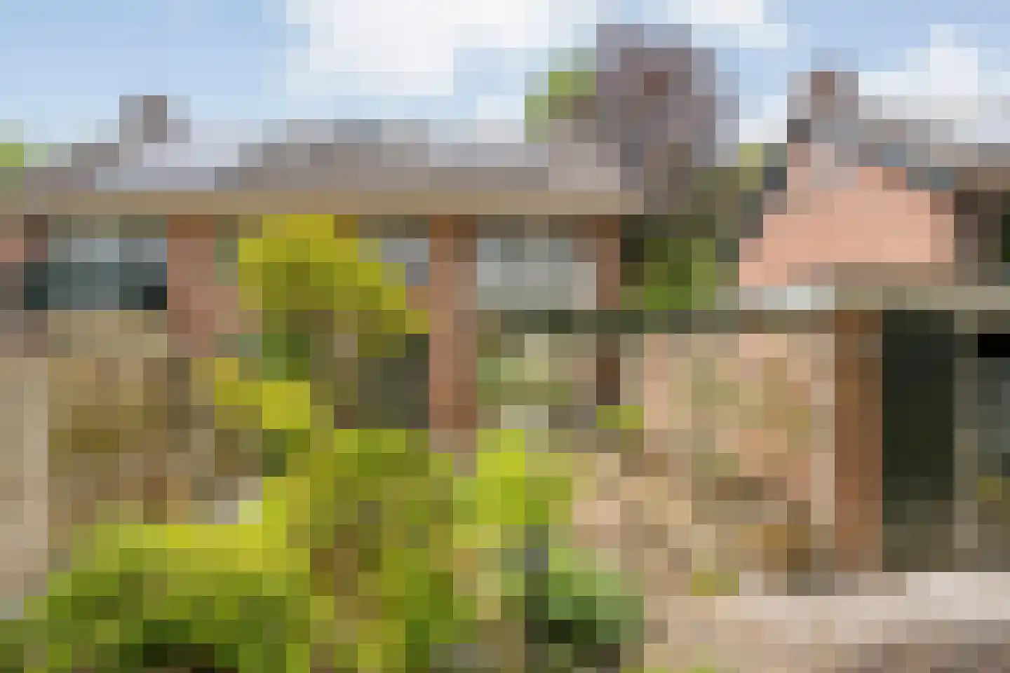 Ten Utlodreef 12 Zuidwolde thumbnail 6