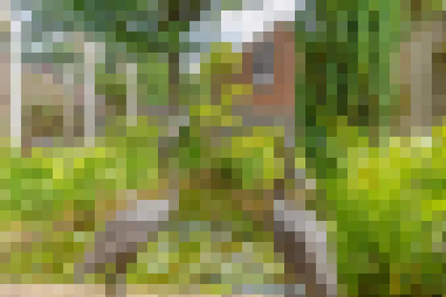 Ten Utlodreef 12 Zuidwolde thumbnail 63