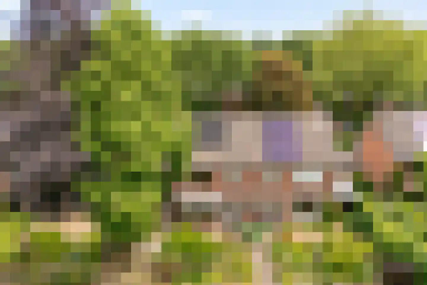 Ten Utlodreef 12 Zuidwolde thumbnail 66
