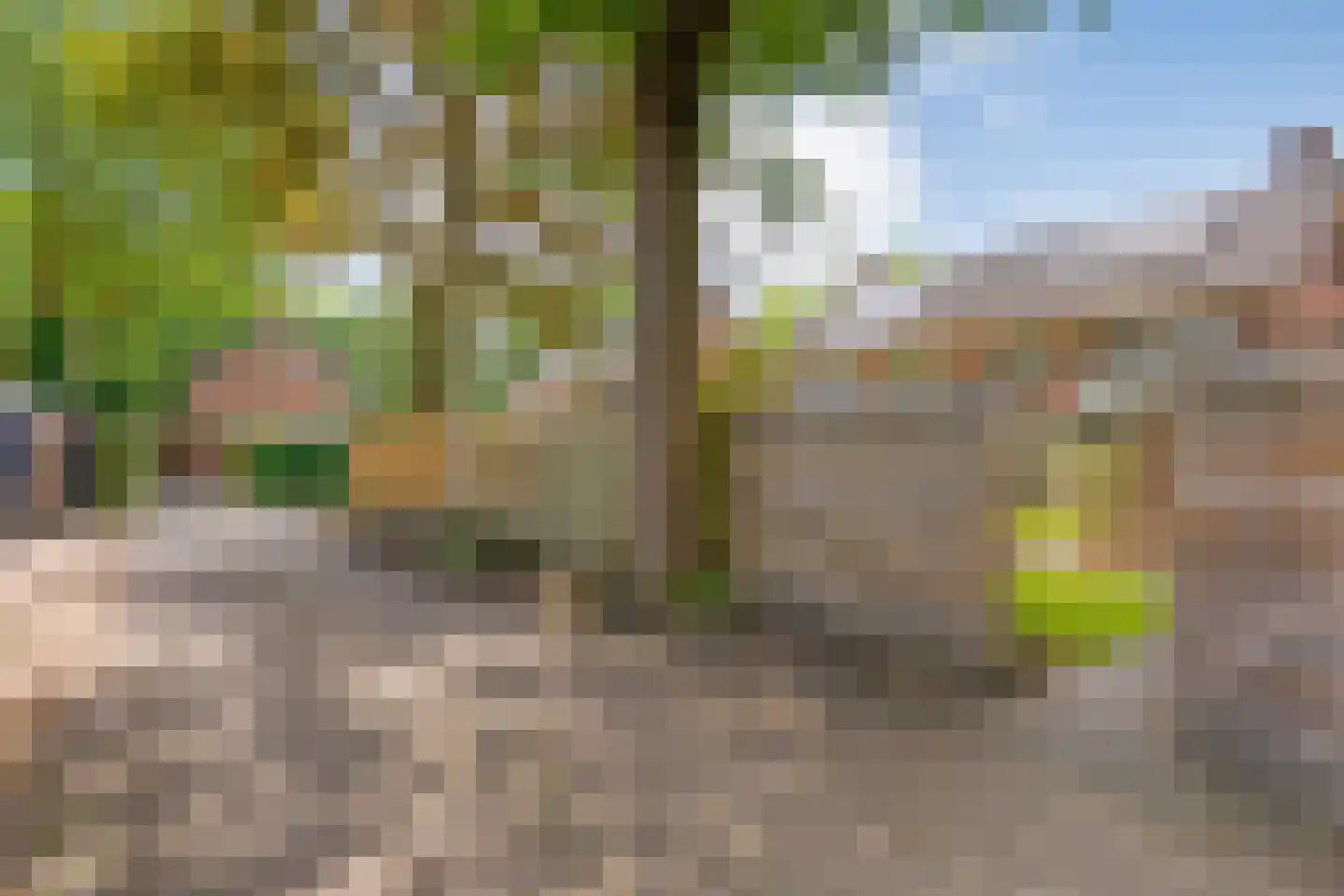 Ten Utlodreef 12 Zuidwolde thumbnail 67