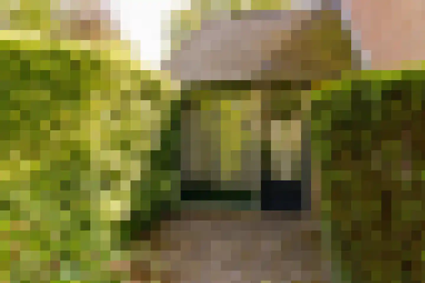 Ten Utlodreef 16 Zuidwolde thumbnail 18