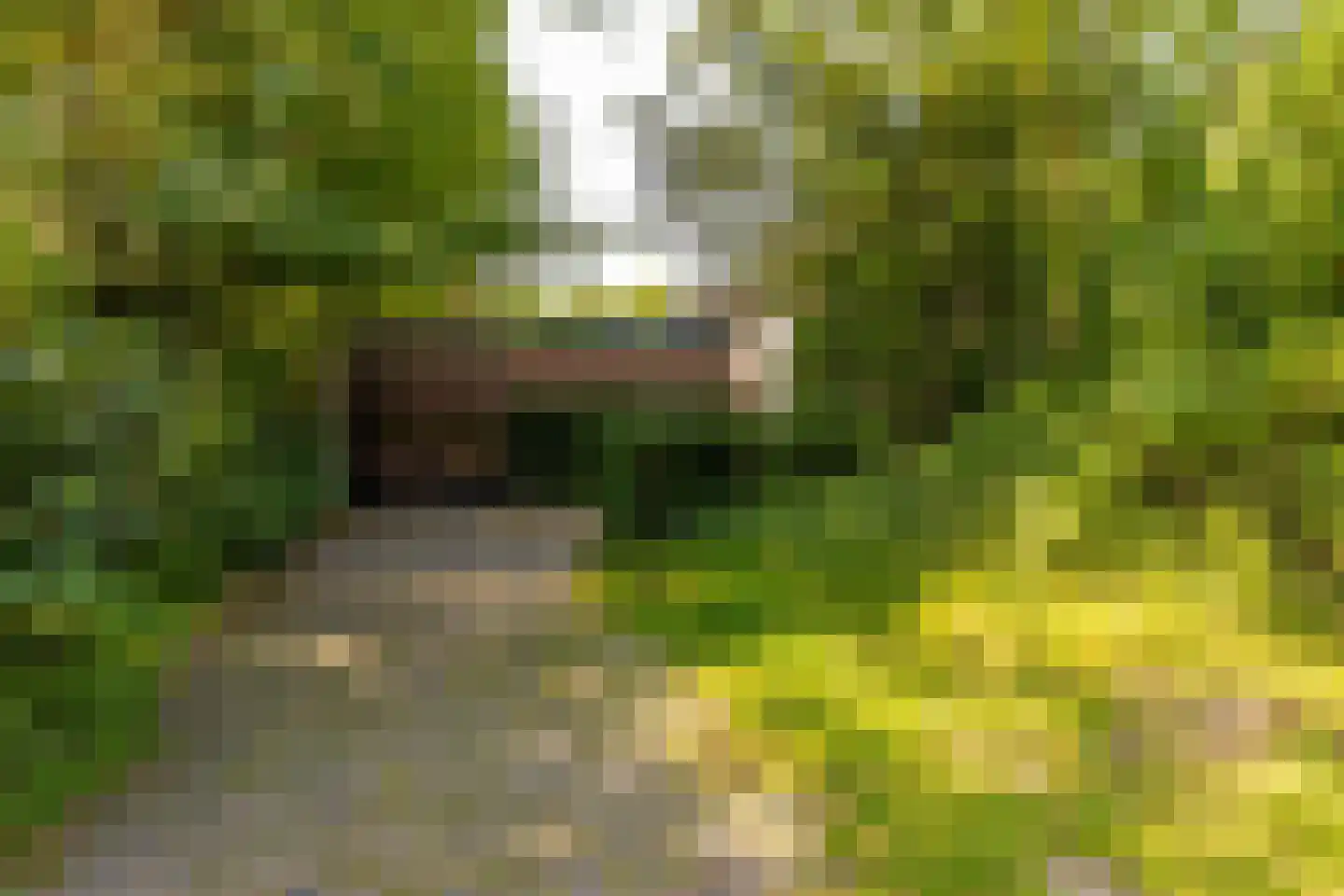 Ten Utlodreef 16 Zuidwolde thumbnail 45