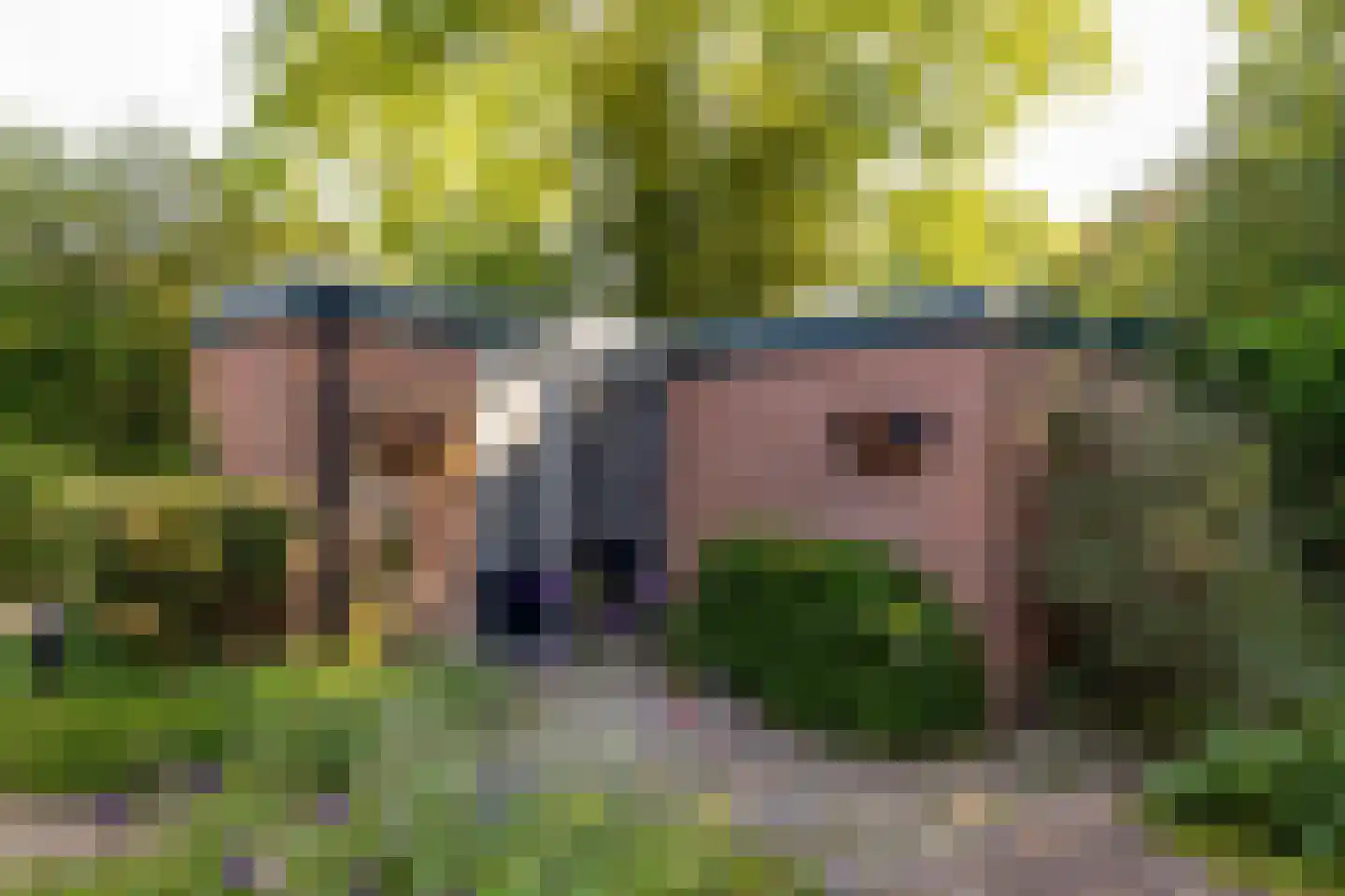 Ten Utlodreef 16 Zuidwolde thumbnail 46