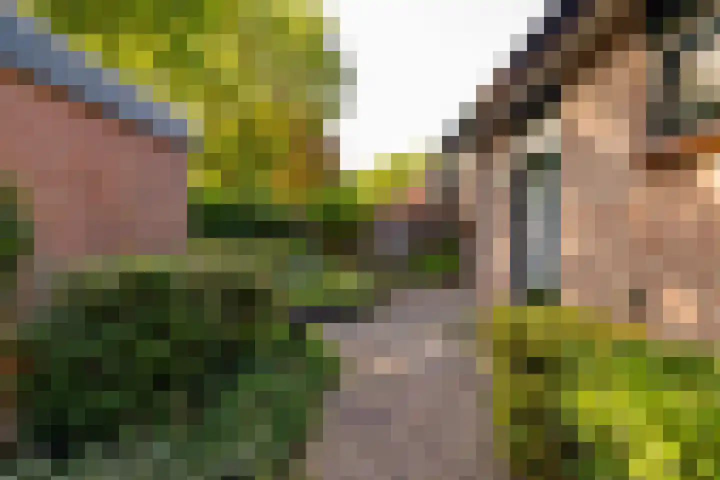 Ten Utlodreef 16 Zuidwolde thumbnail 50