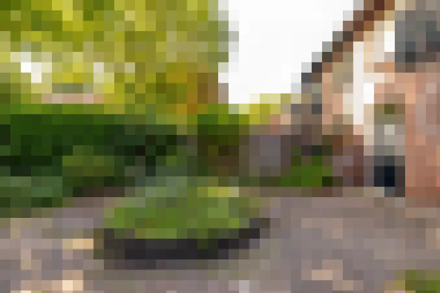 Ten Utlodreef 16 Zuidwolde thumbnail 51