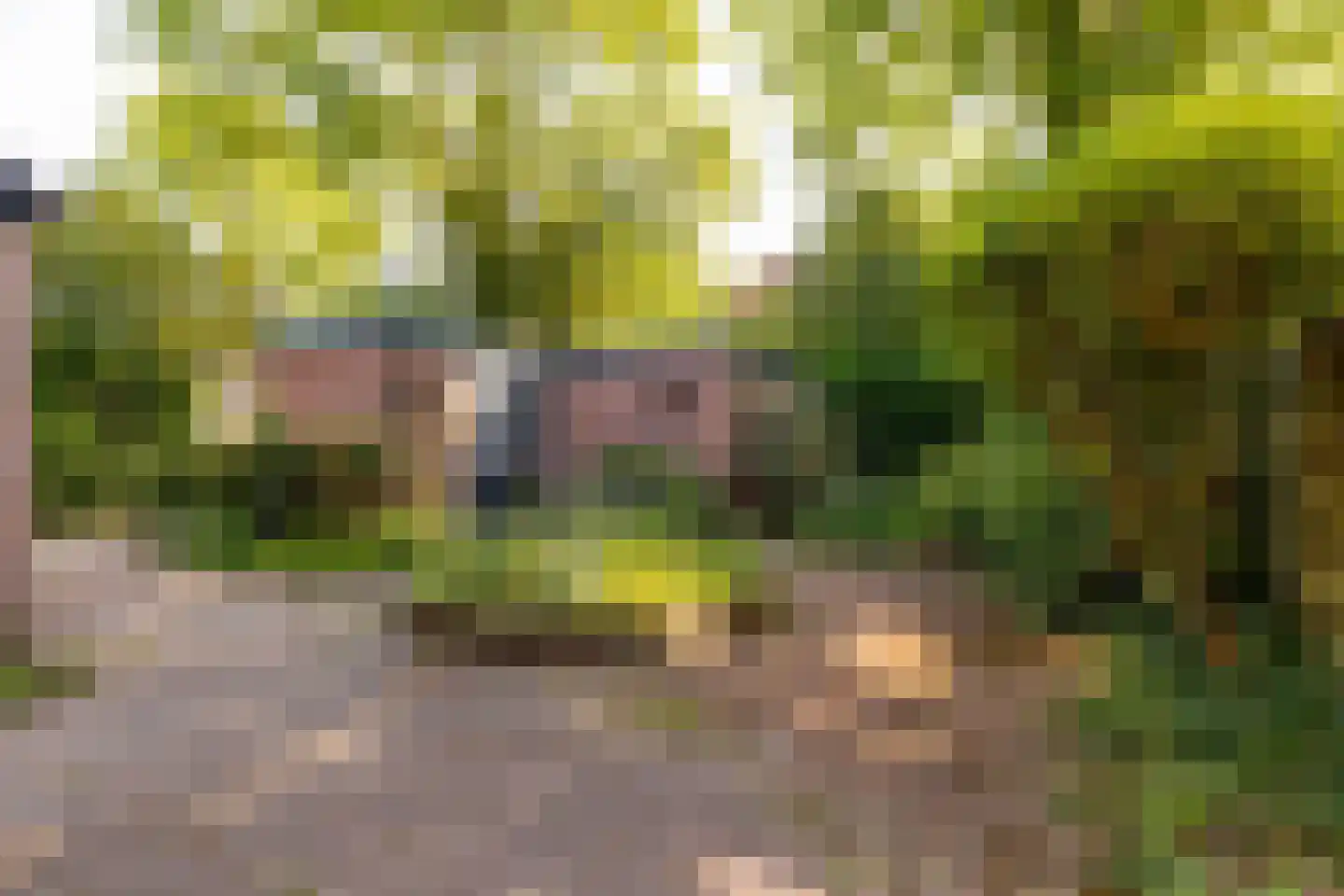 Ten Utlodreef 16 Zuidwolde thumbnail 52