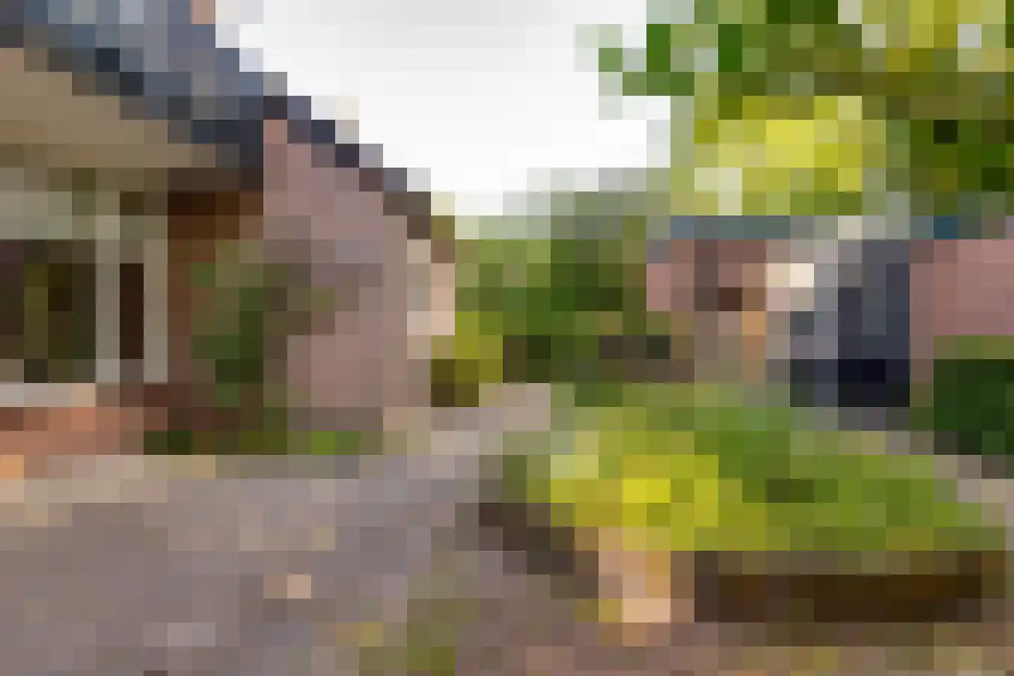 Ten Utlodreef 16 Zuidwolde thumbnail 53