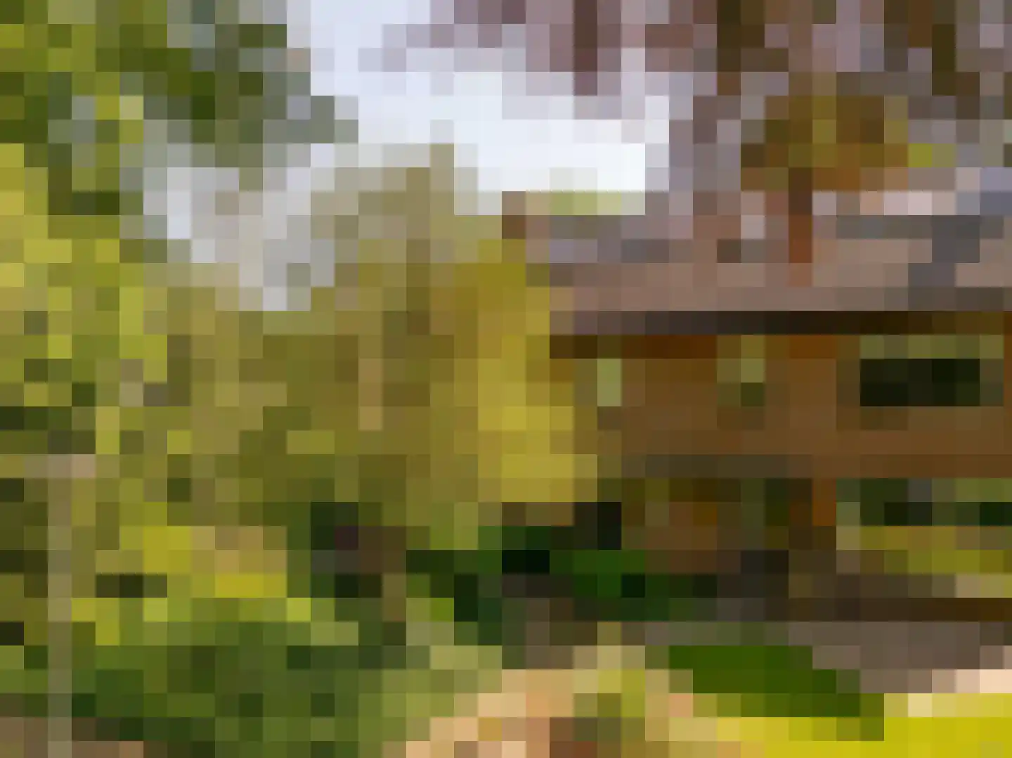 Ten Utlodreef 16 Zuidwolde thumbnail 56