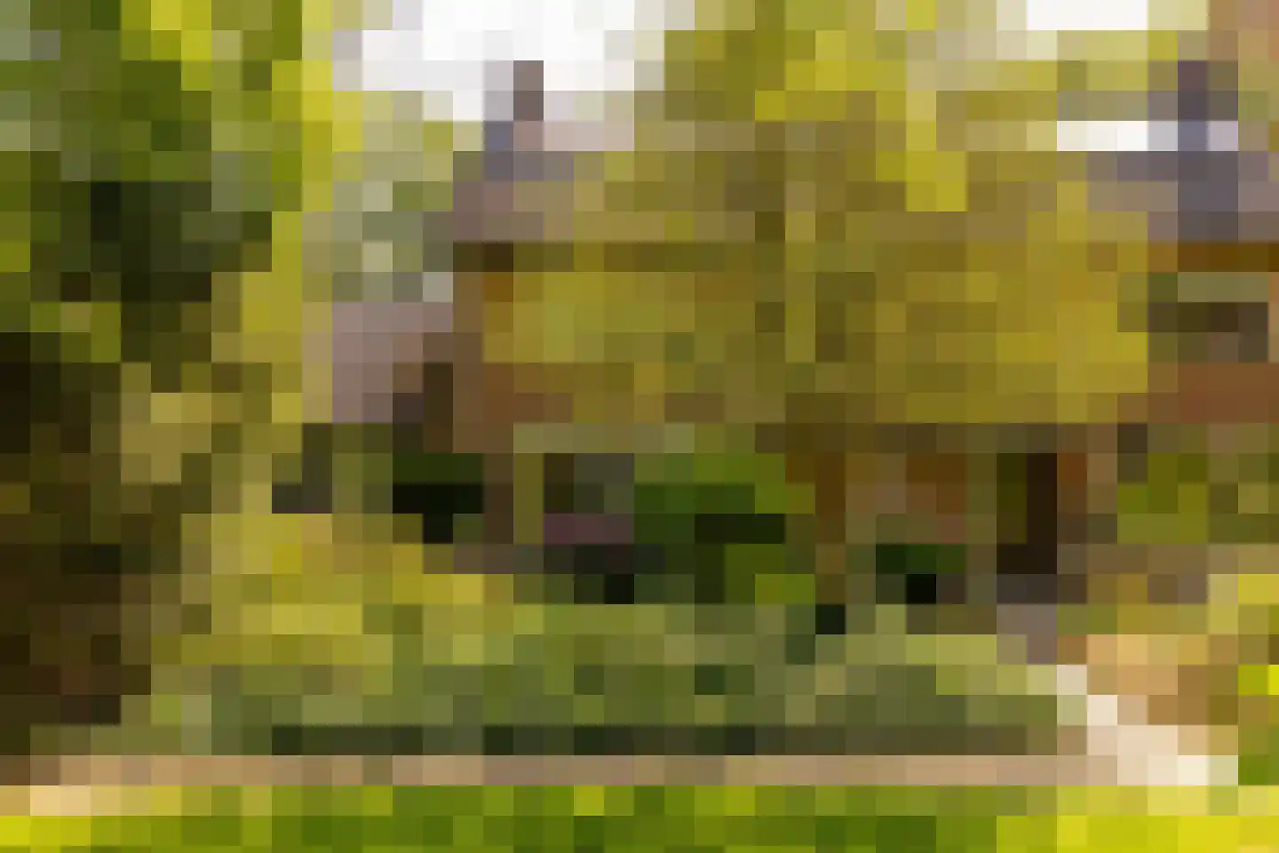 Ten Utlodreef 16 Zuidwolde thumbnail 57