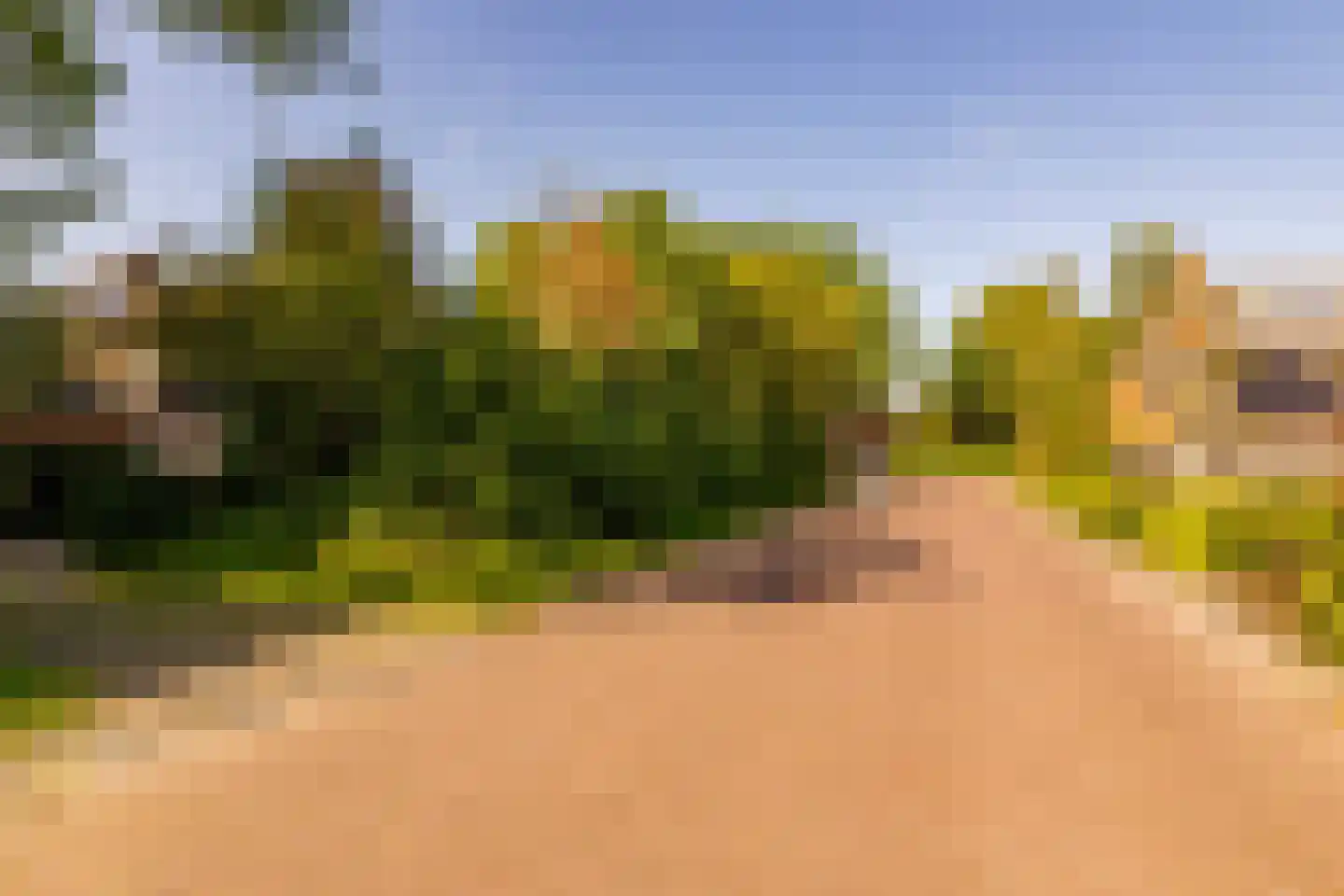 Ten Utlodreef 16 Zuidwolde thumbnail 58