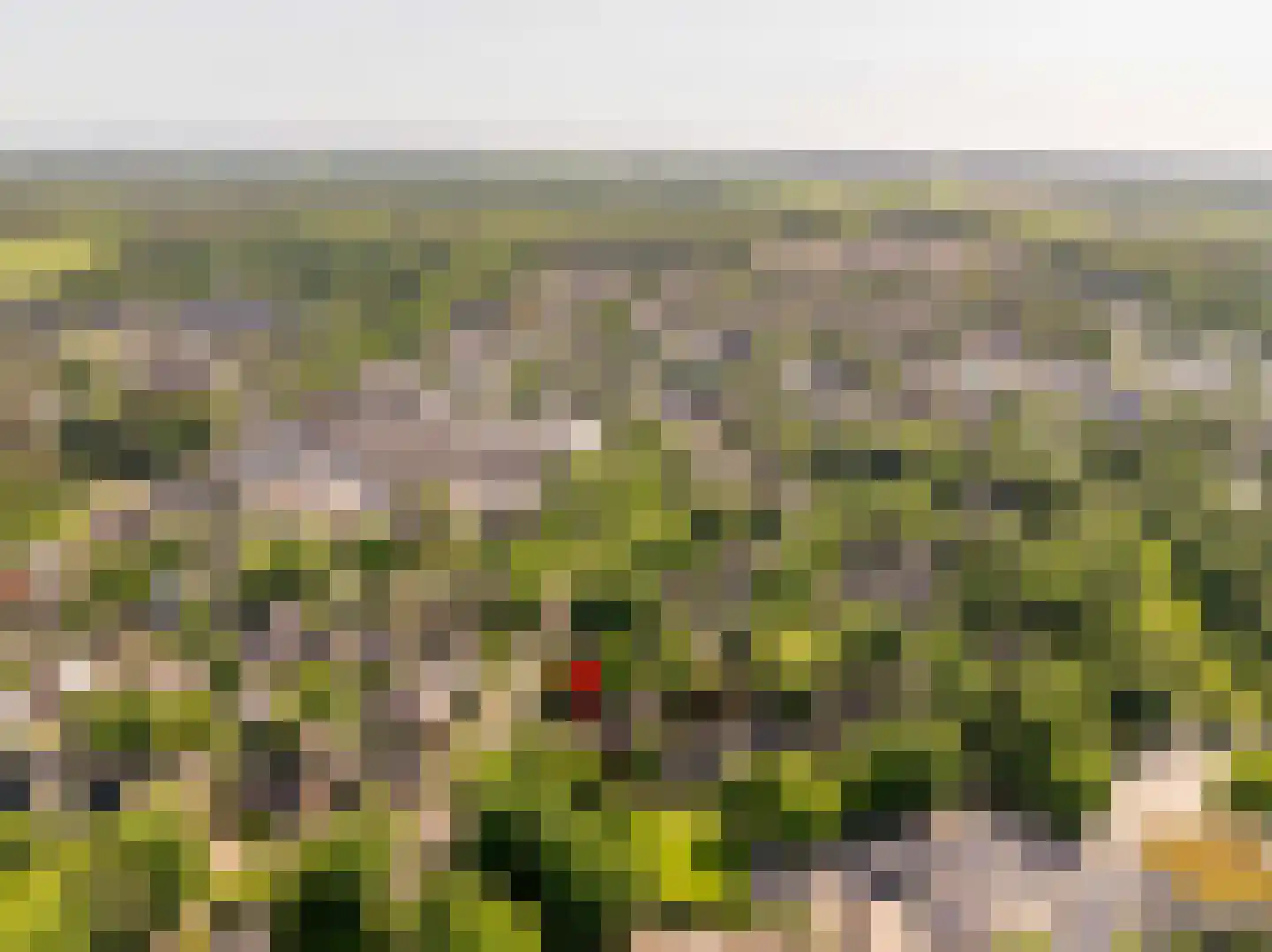 Ten Utlodreef 16 Zuidwolde thumbnail 59