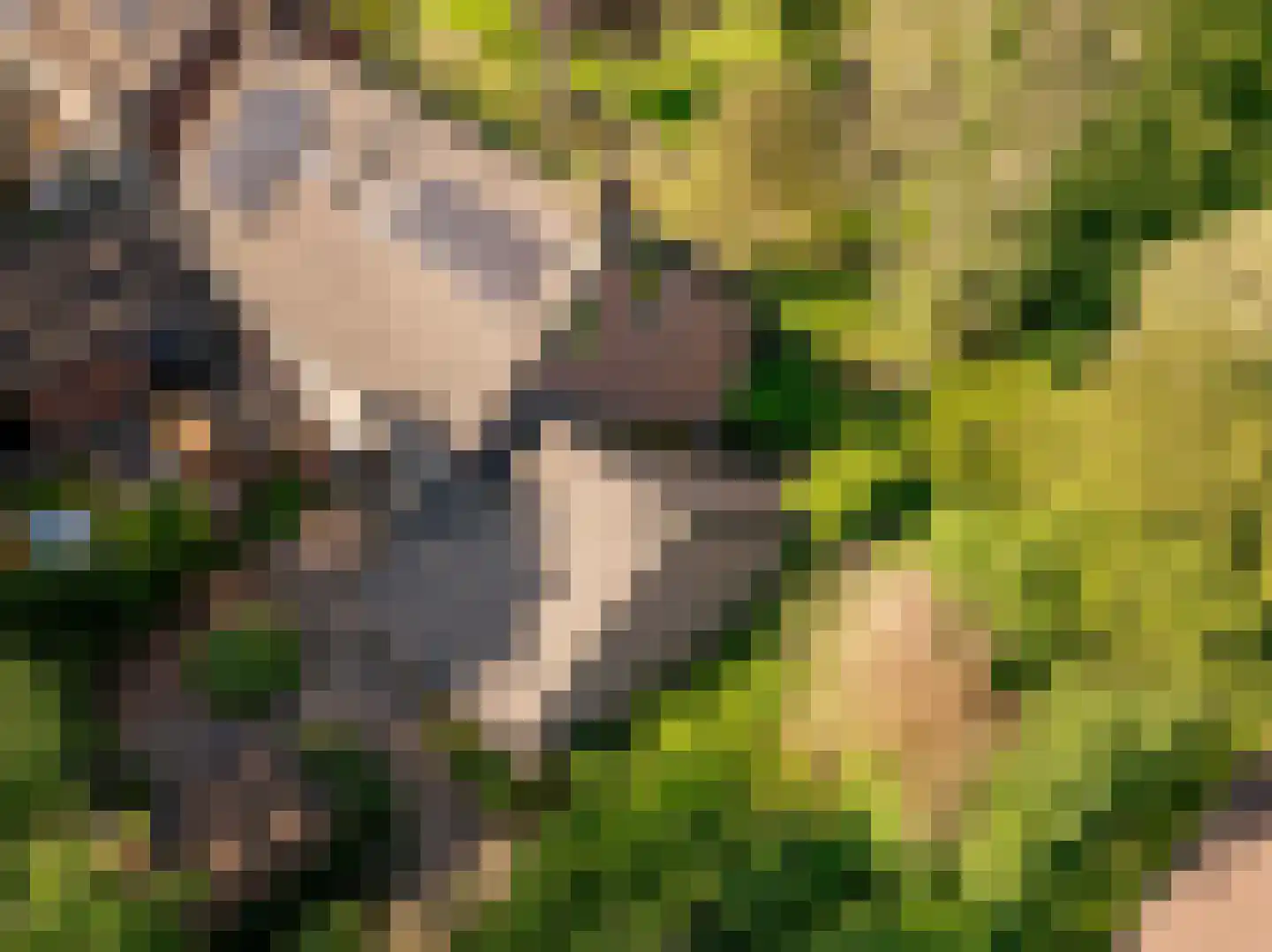 Ten Utlodreef 16 Zuidwolde thumbnail 6