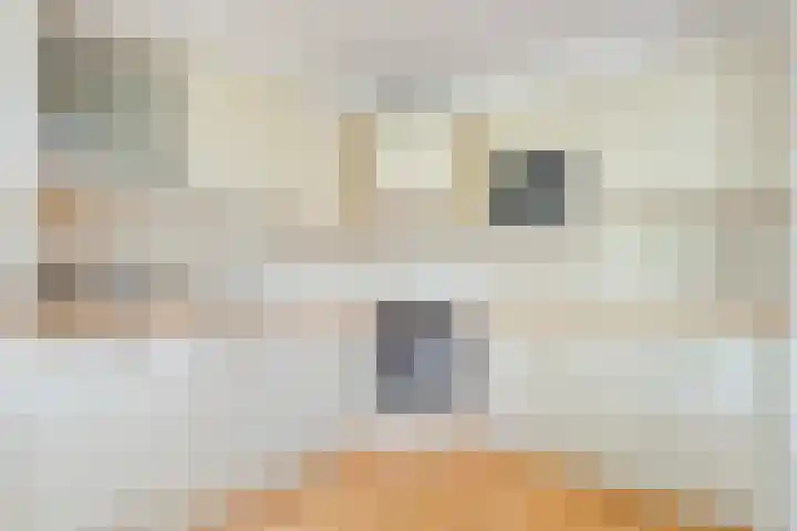 Ten Utlodreef 8 Zuidwolde thumbnail 17
