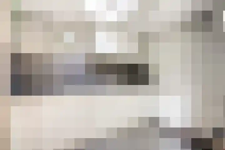 Ten Utlodreef 8 Zuidwolde thumbnail 19