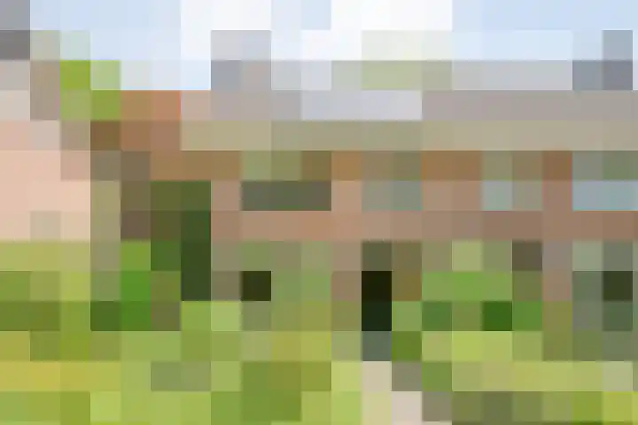 Ten Utlodreef 8 Zuidwolde foto 2