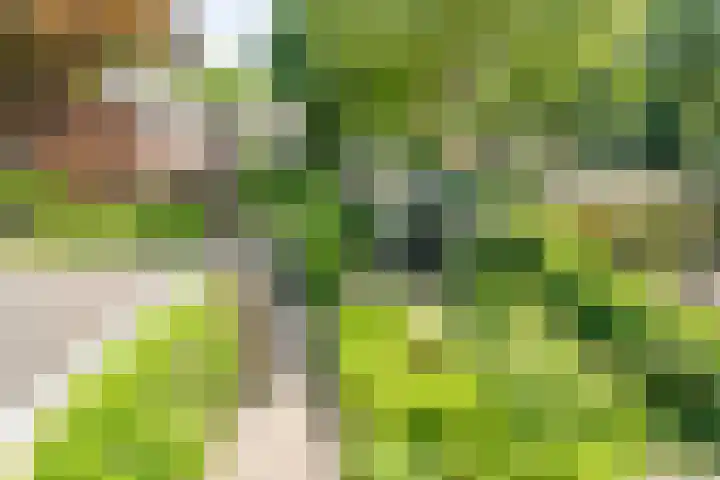 Ten Utlodreef 8 Zuidwolde thumbnail 39