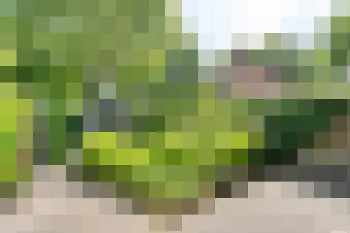 Ten Utlodreef 8 Zuidwolde thumbnail 40