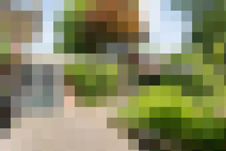 Ten Utlodreef 8 Zuidwolde thumbnail 41