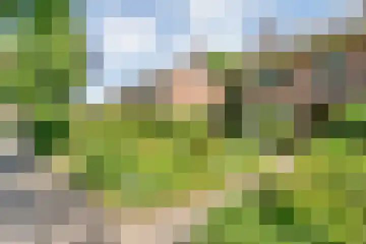 Ten Utlodreef 8 Zuidwolde thumbnail 42