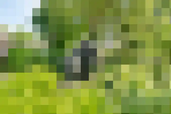 Ten Utlodreef 8 Zuidwolde thumbnail 43
