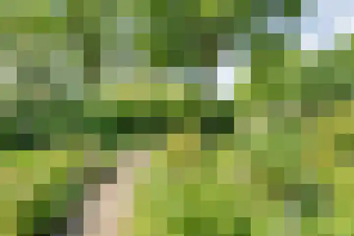 Ten Utlodreef 8 Zuidwolde thumbnail 44