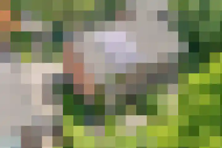 Ten Utlodreef 8 Zuidwolde thumbnail 45