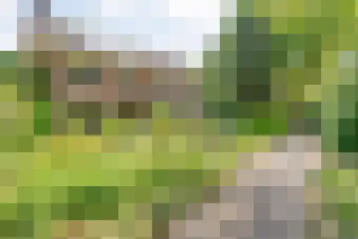 Ten Utlodreef 8 Zuidwolde thumbnail 47