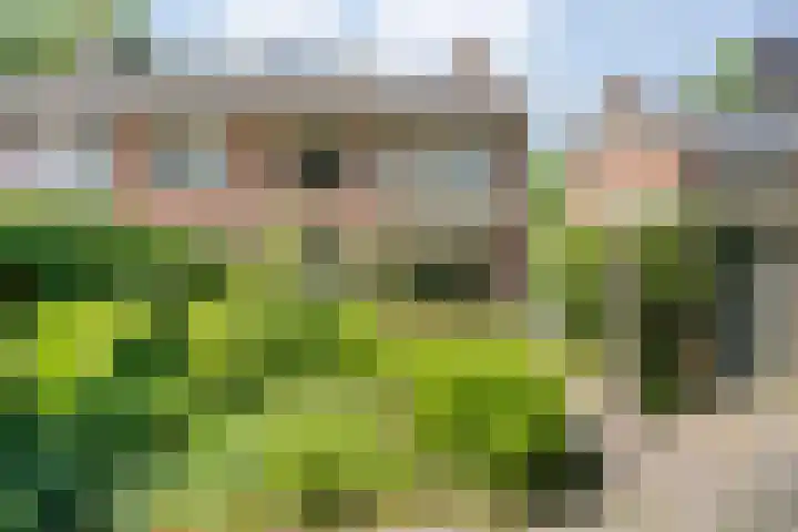 Ten Utlodreef 8 Zuidwolde thumbnail 48