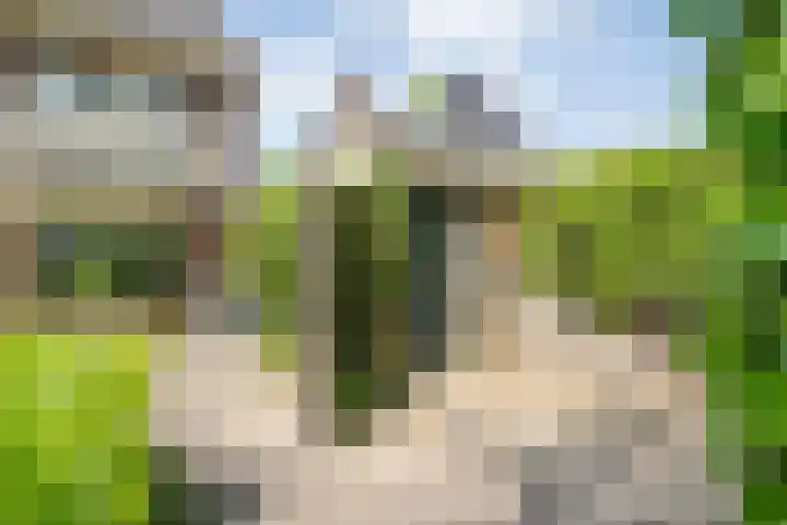 Ten Utlodreef 8 Zuidwolde thumbnail 49