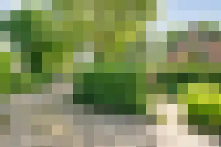 Ten Utlodreef 8 Zuidwolde thumbnail 50