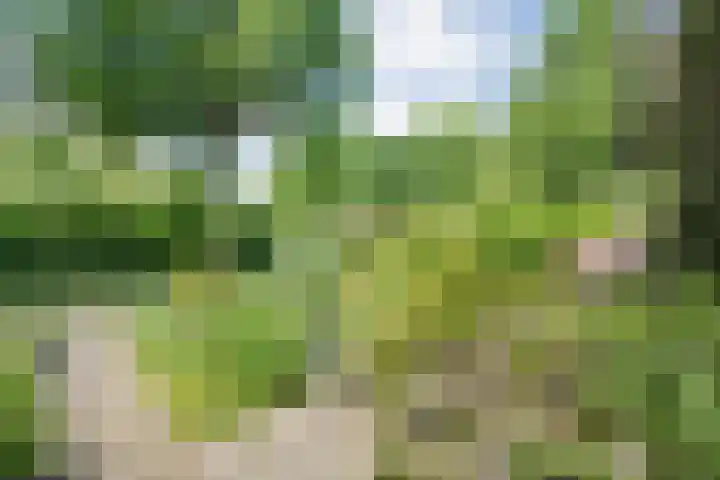 Ten Utlodreef 8 Zuidwolde thumbnail 51