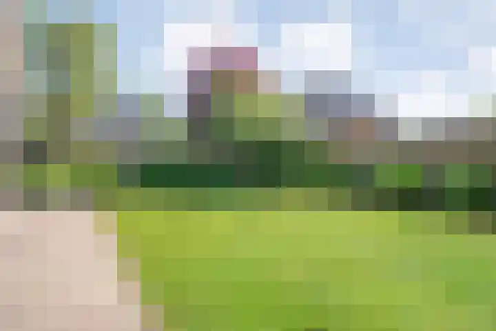 Ten Utlodreef 8 Zuidwolde thumbnail 52