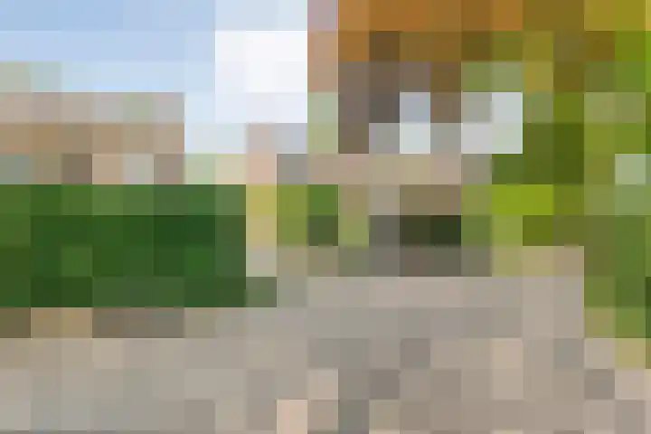 Ten Utlodreef 8 Zuidwolde thumbnail 53