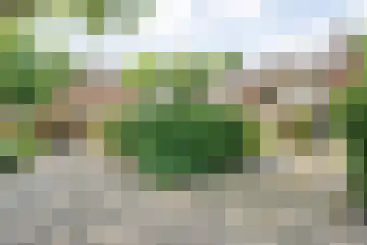 Ten Utlodreef 8 Zuidwolde thumbnail 54
