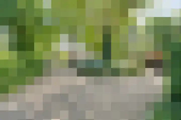Ten Utlodreef 8 Zuidwolde thumbnail 55