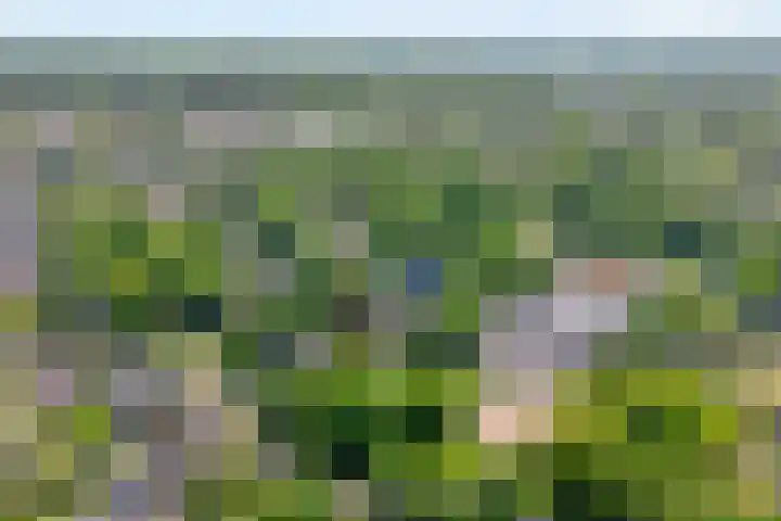 Ten Utlodreef 8 Zuidwolde thumbnail 56