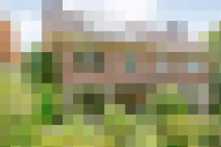 Ten Utlodreef 8 Zuidwolde thumbnail 57