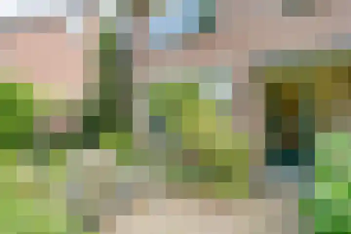 Ten Utlodreef 8 Zuidwolde thumbnail 7