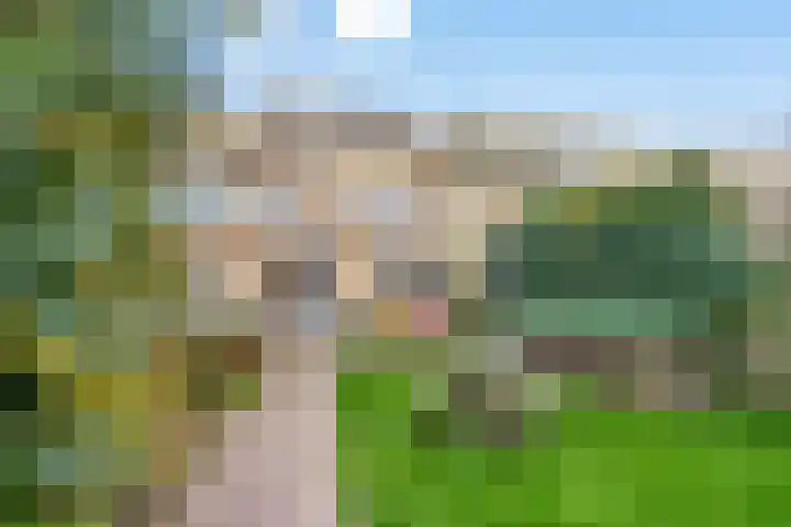 Ten Veldestraat 13 De Meern thumbnail 23
