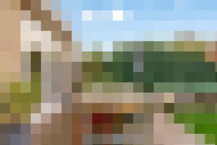 Ten Veldestraat 13 De Meern thumbnail 24