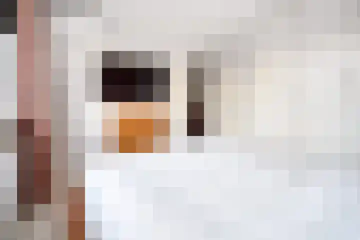 Ten Veldestraat 13 De Meern thumbnail 34