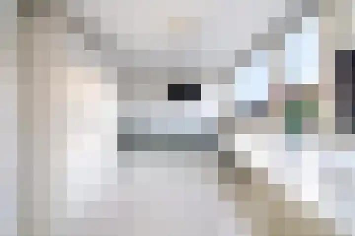 Ten Veldestraat 13 De Meern thumbnail 47