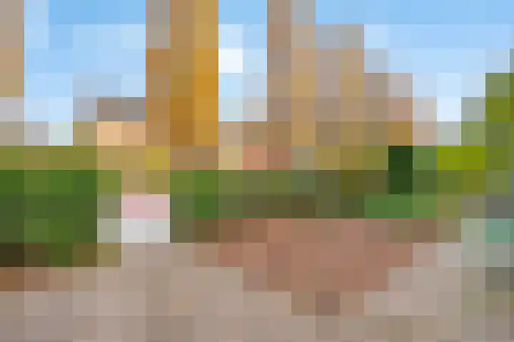 Ten Veldestraat 13 De Meern thumbnail 50