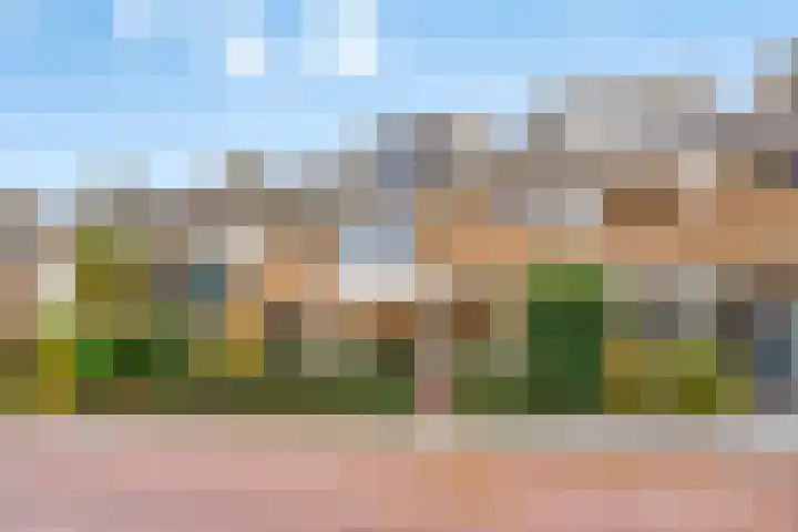 Ten Veldestraat 13 De Meern thumbnail 51