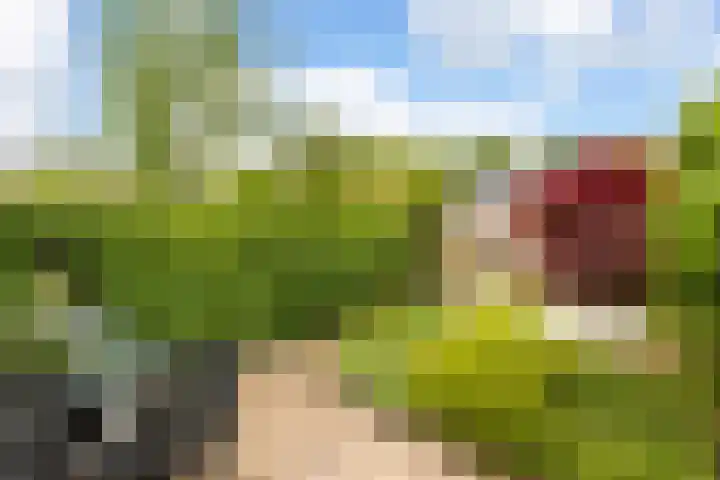 Ten Veldestraat 15 De Meern thumbnail 14