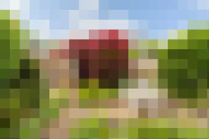 Ten Veldestraat 15 De Meern thumbnail 16