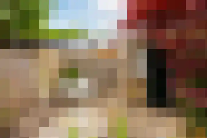 Ten Veldestraat 15 De Meern thumbnail 17