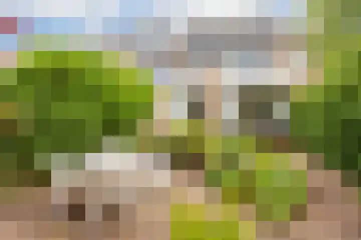 Ten Veldestraat 15 De Meern thumbnail 18